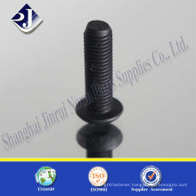 Black finished round head socket screw